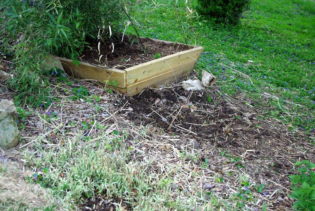 It's Not Work, It's Gardening!: Grass, you dig?